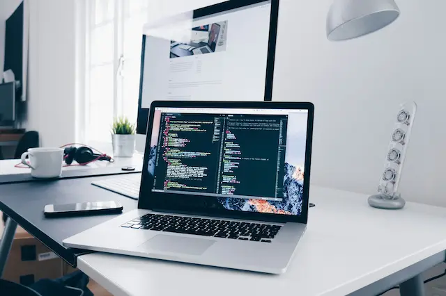 Kenapa Pilih Jasa Web Developer Profesional (Bukan Hanya Desainer)?